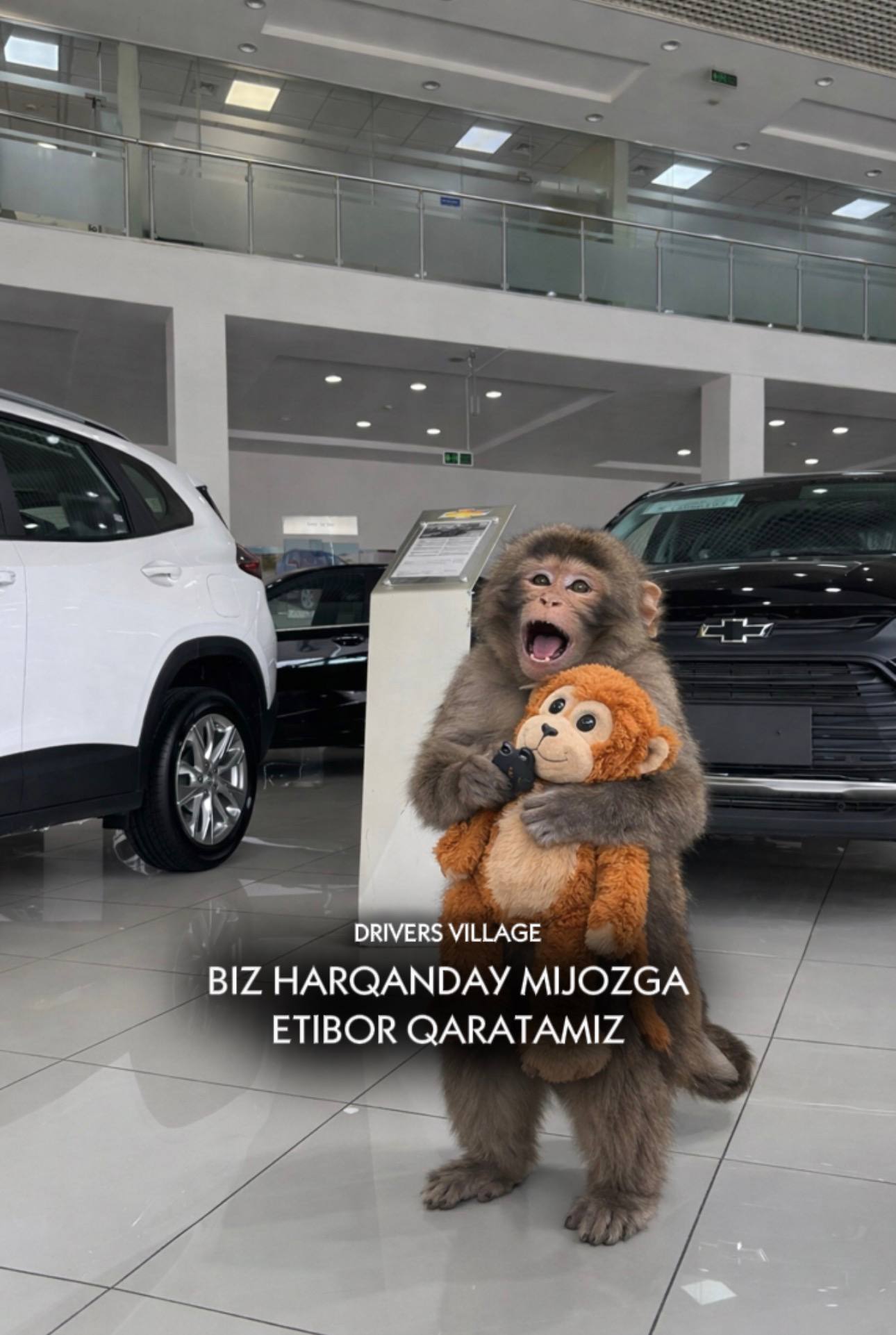 Креативный подход от команды Drivers Village 🐵😁